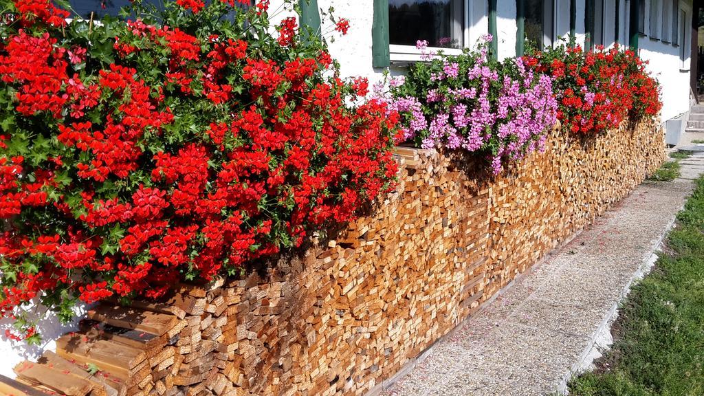 Postalm Lodge Seidegg المظهر الخارجي الصورة