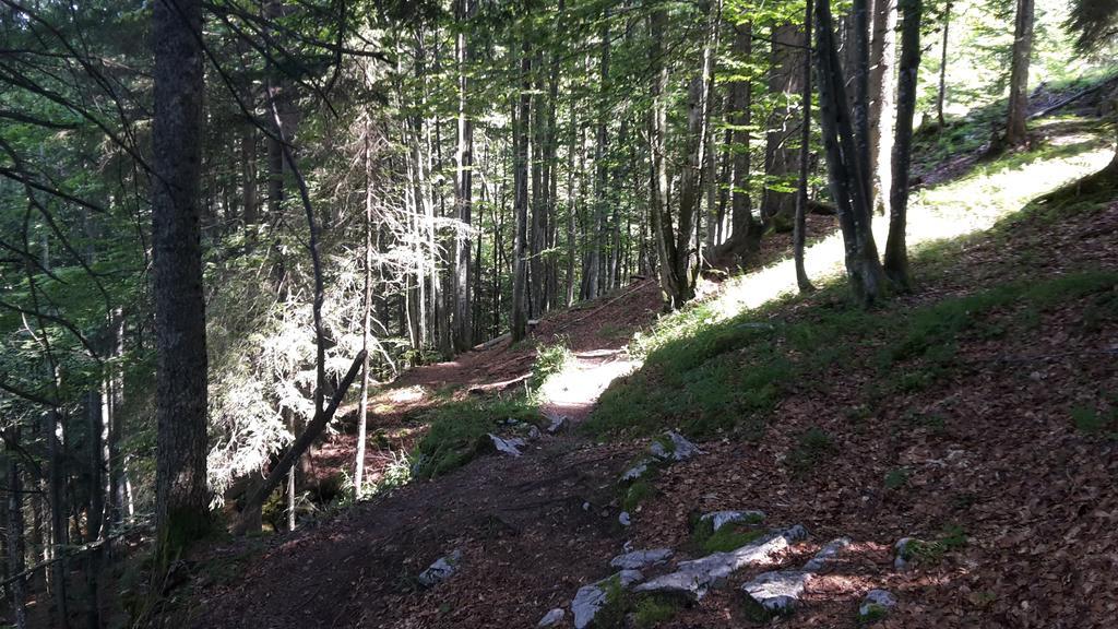 Postalm Lodge Seidegg المظهر الخارجي الصورة